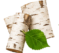 Birch