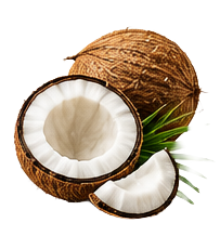 Coconut