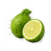 Bergamot · Pineapple · Vanilla
