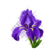 Saffron · Tobacco · Iris