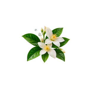Jasmine