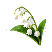 Lily of the Valley · Jasmine · White Musk