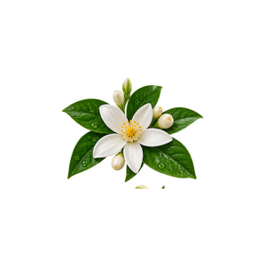 Neroli