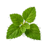 Black Pepper · Vetiver · Patchouli