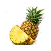 Bergamot · Pineapple · Vanilla