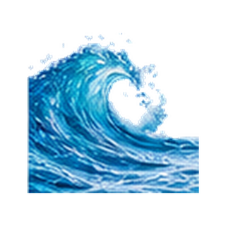 Aquatic Notes