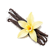 Bergamot · Pineapple · Vanilla