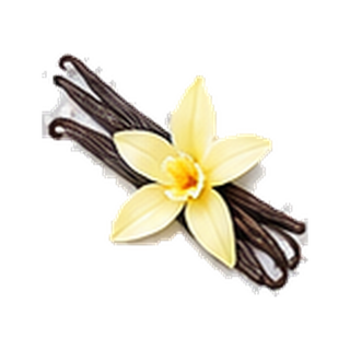 Vanilla