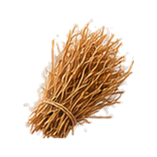 Vetiver